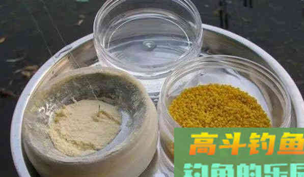 长竿短线钓春鲫，自制灰面和蘸小米，不用打窝都能爆护