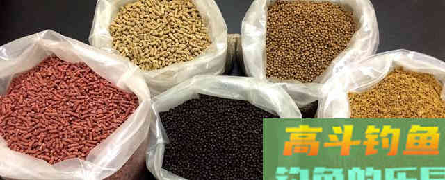 一套看似外行的装备，却演绎出饲料钓鱼的精髓