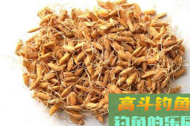 在生活当中，可以供钓鱼人使用的六种特效鲤鱼饵