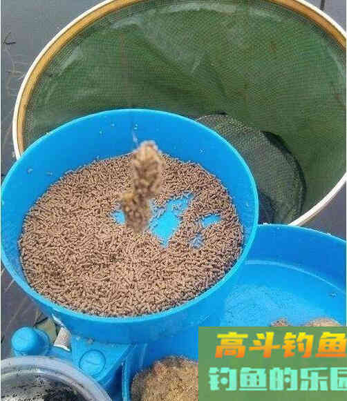 粘饵为什么不闹小鱼？多会用到包食钓和麻团钓