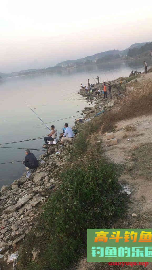 在钓鱼打窝后，怎么判断鱼是否有进窝，通过3个方法即可