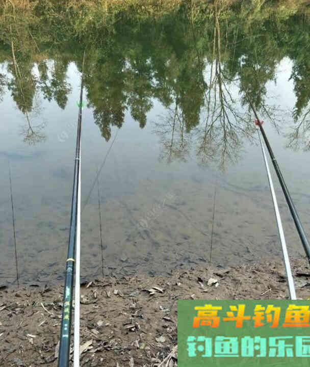 西药配方钓鱼，好钓鱼教你