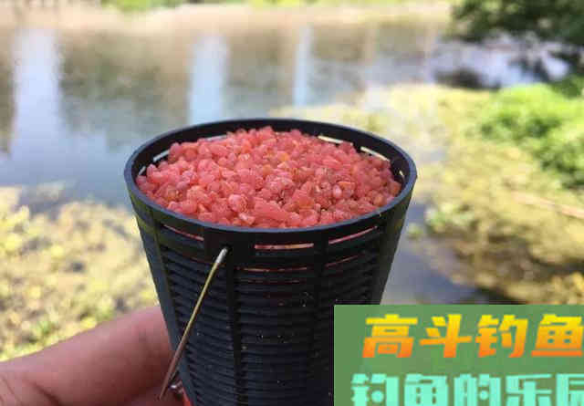 嫌酒米诱鱼不够快，你可以再加点佐料