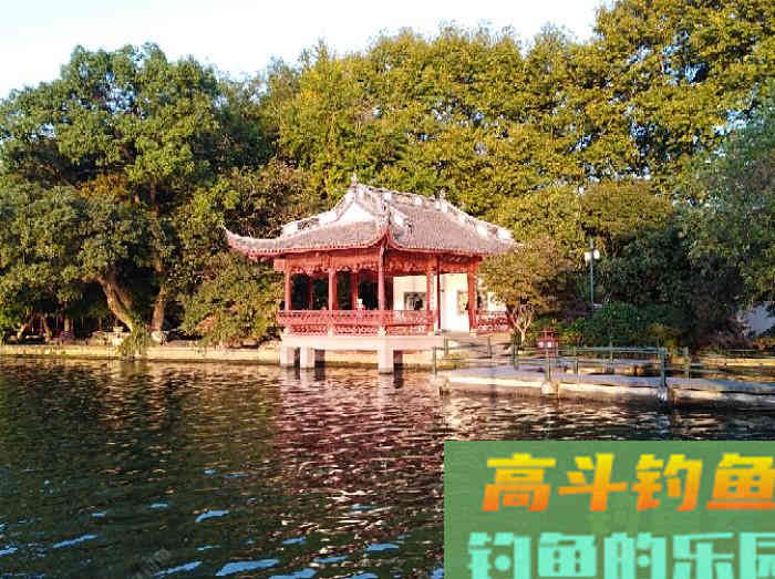 自制钓鲫鱼酒小米的几个误区，可帮助你钓获大鲫鱼