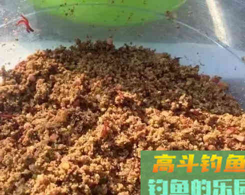 红虫不同场合下做钓饵技巧，用好了隔壁老王都眼红