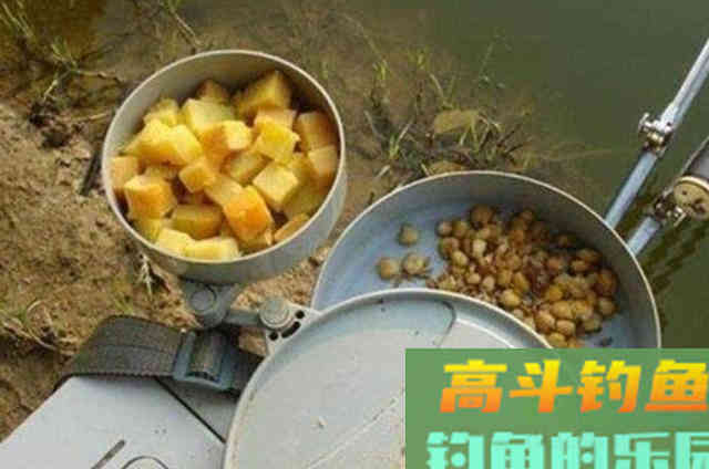 这鲤鱼饵我用了二十年，如今依然管用