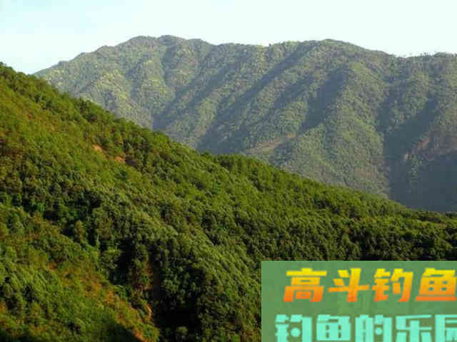 如何用红薯制作钓鱼饵料？特别适合秋天野钓鲤鱼