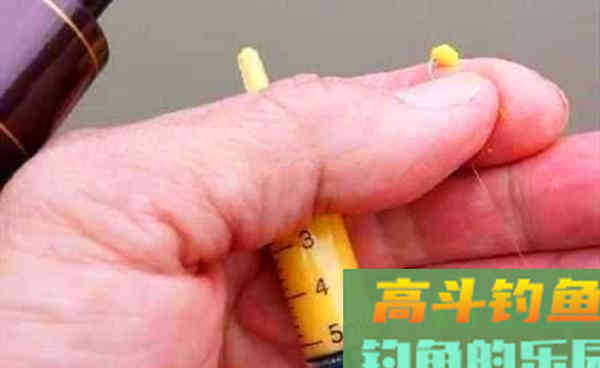 冬天手竿钓鲫鱼，传统钓的三种用饵绝招