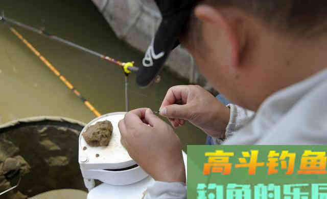 越贵的饵料效果越好？颗粒饵很廉价钓得可不少