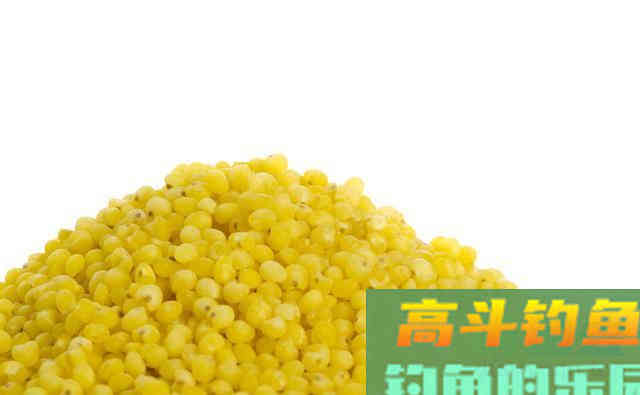 降温天气来临，钓鱼打多少窝量适合？做好这几点
