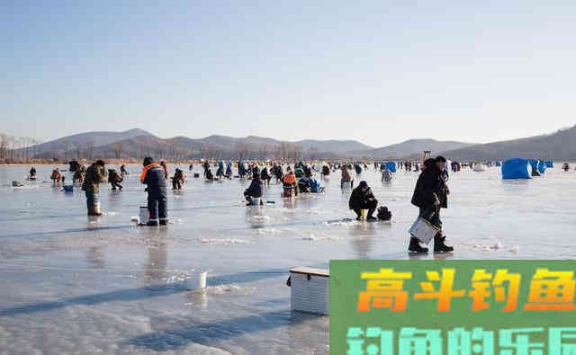 冬季打窝来鱼慢？不是窝料味道差，不是钓位不够好