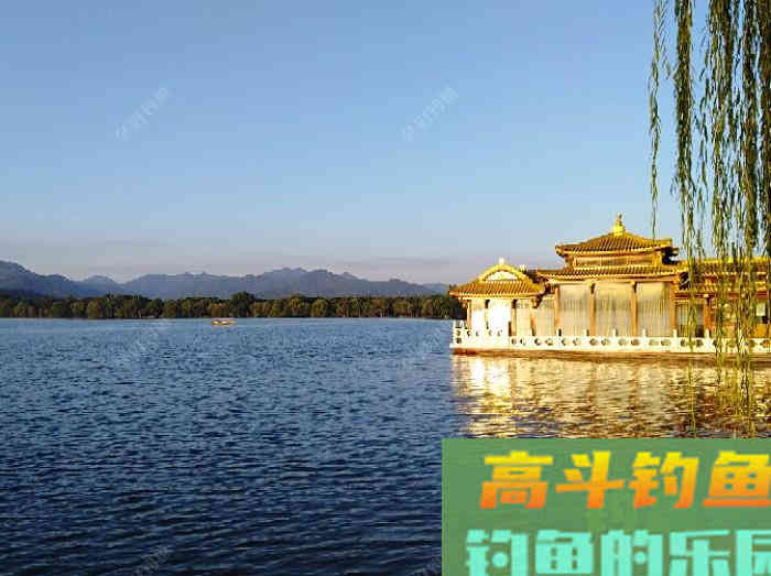 自制钓鲫鱼酒小米的几个误区，可帮助你钓获大鲫鱼