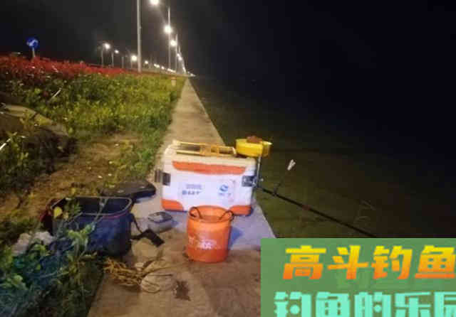 春季湖边夜钓，用蚯蚓作钓黄辣丁，钓获3斤野生鲤鱼