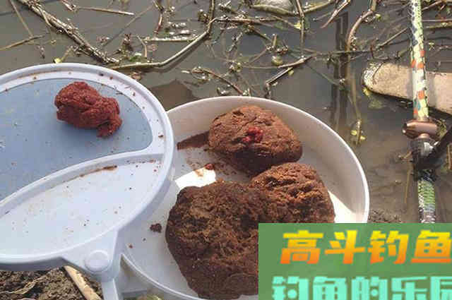 低温天钓鱼用饵策略分享，自用多年实用性好