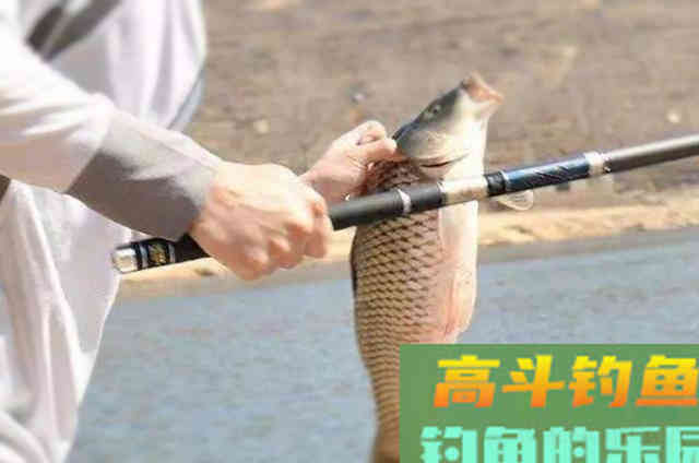 这3种饵曾被吹爆，时隔多年，为何还有人被骗