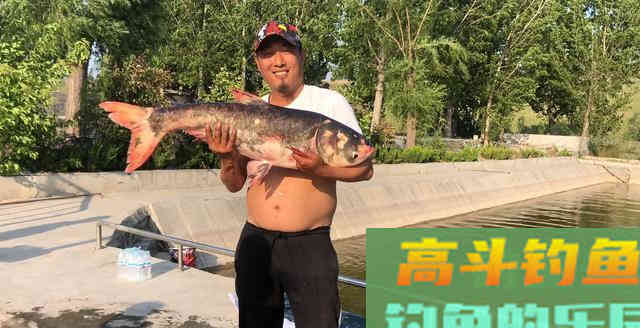 作为钓鱼人你必须知道四季鱼情小药搭配