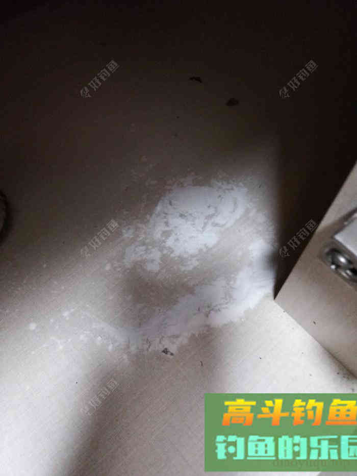 [制饵分享] 向老钓友请教制作的窝料,上大物就是这么简单