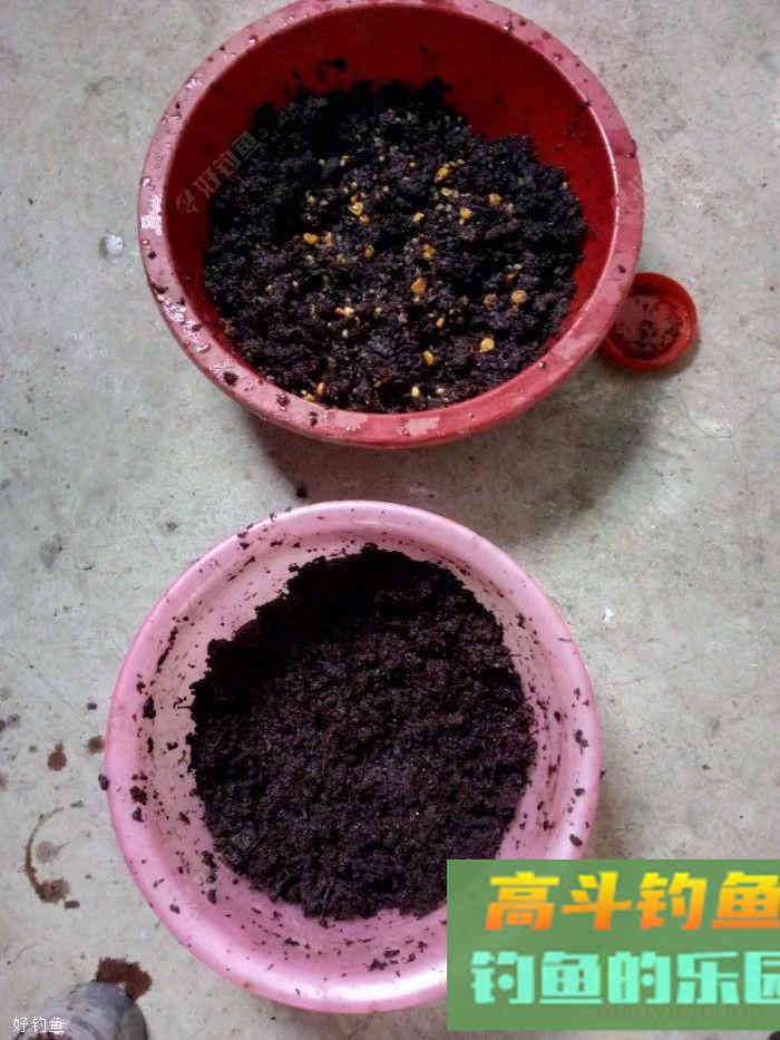 腰痛，闲来无事在家制作玉米钓饵及玉米窝料