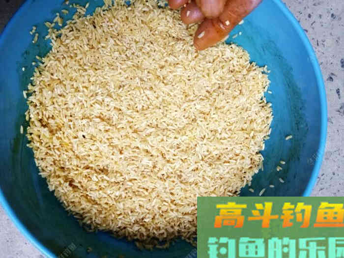 试做黑米窝料，等待检验诱鱼效果！