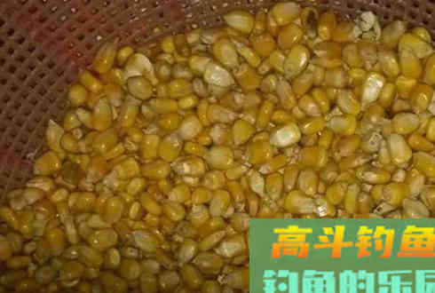蜂蜜如何钓鱼？蜂蜜饵配方及制作