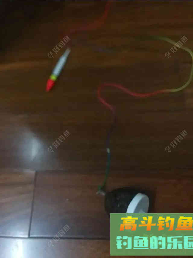 南国诱饵之王——糠坨