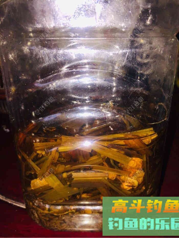 自制饵料分享，垂钓大鱼必备饵料