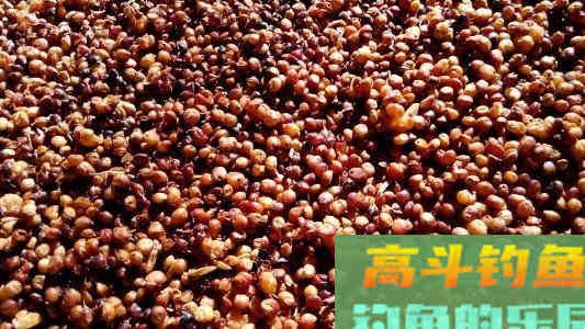 春季野钓打窝用什么窝料好？自制的简单又好