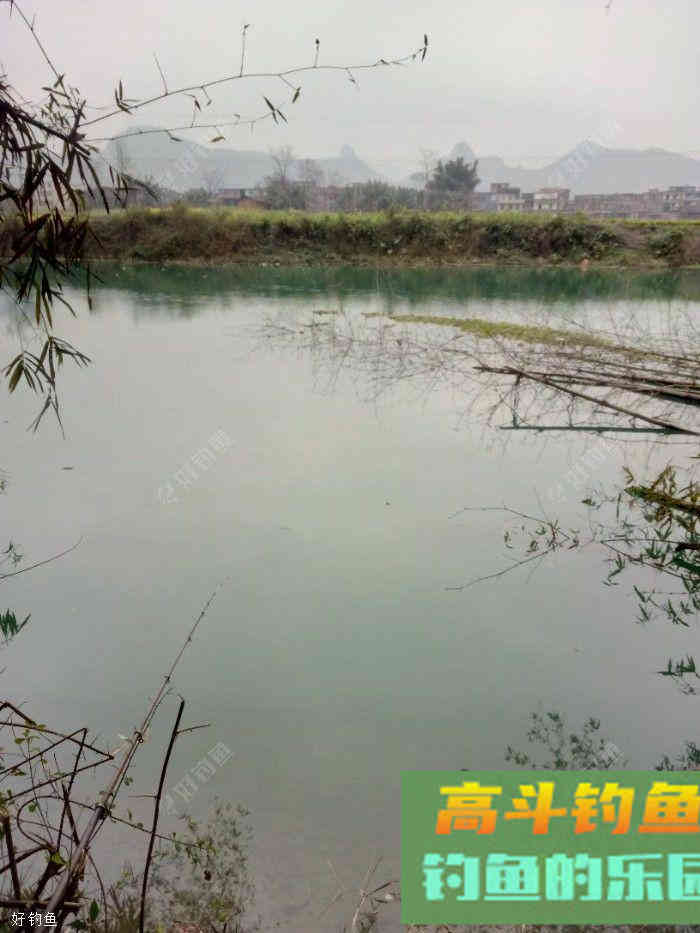 腰痛，闲来无事在家制作玉米钓饵及玉米窝料