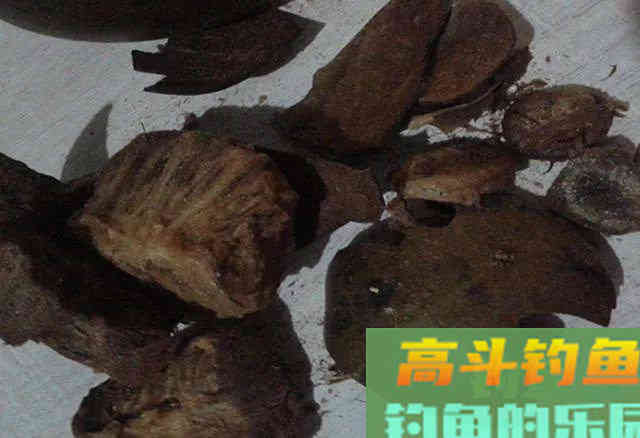 成本不到20块的鲤鱼窝料配方，聚鱼快留鱼久