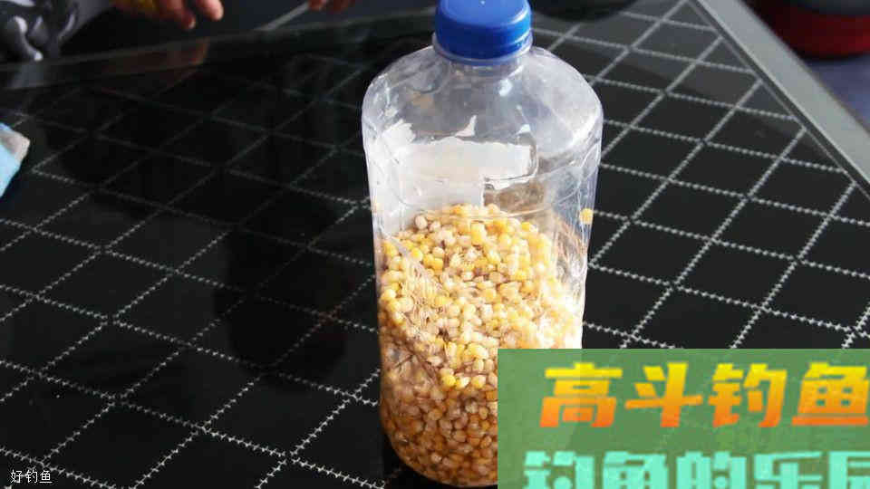 玉米自制饵这样来配，春季的淡水鱼基本都通杀