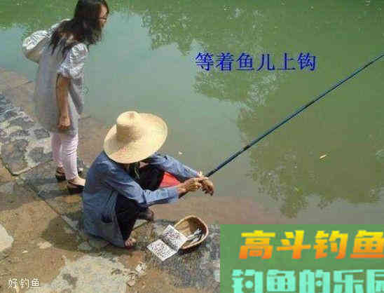 苍蝇也可以做饵料，而且鱼获还比以前多一半