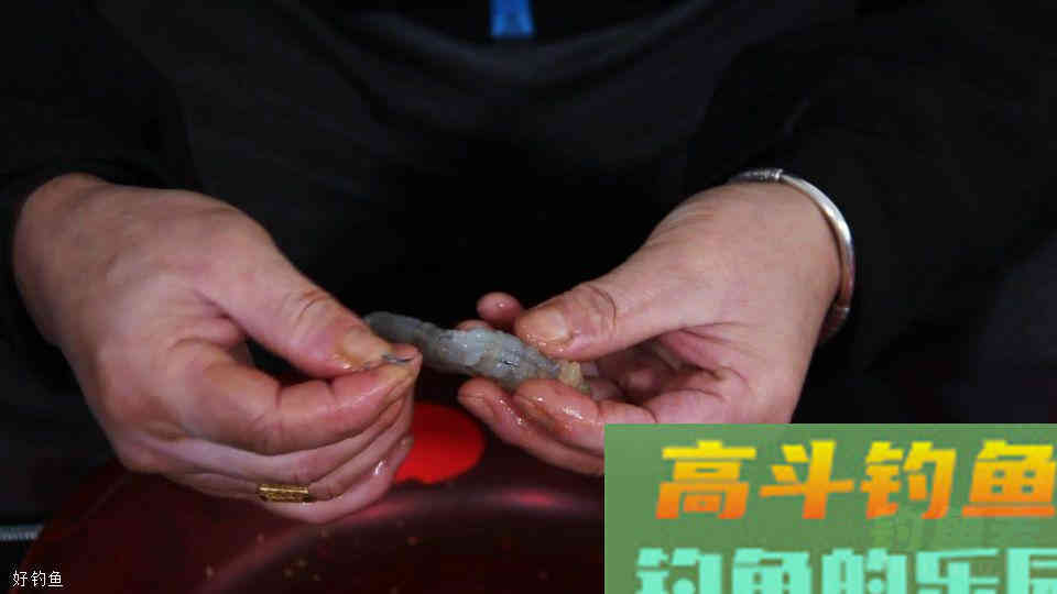 这是比红虫、蚯蚓都厉害的存在，鲜虾自制饵做法