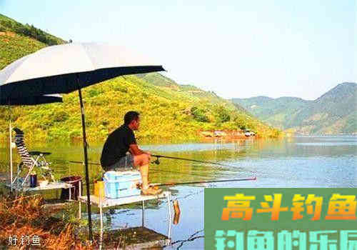 春季野钓打窝用什么窝料好？自制的简单又好