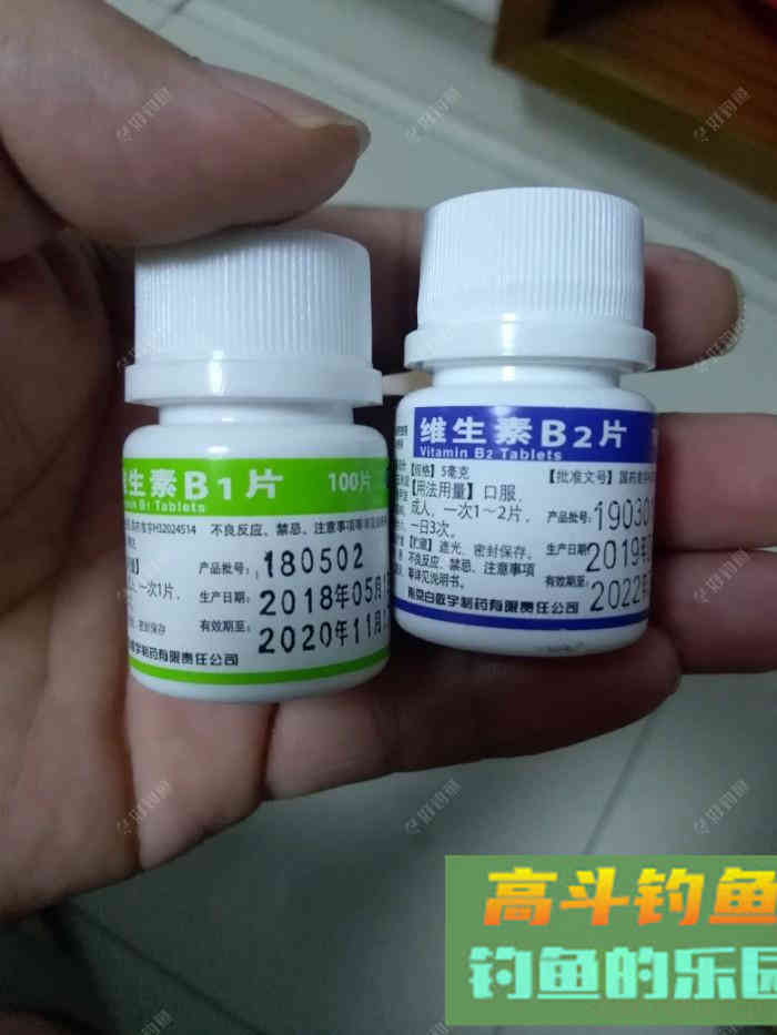 新手做窝料，高手请指教