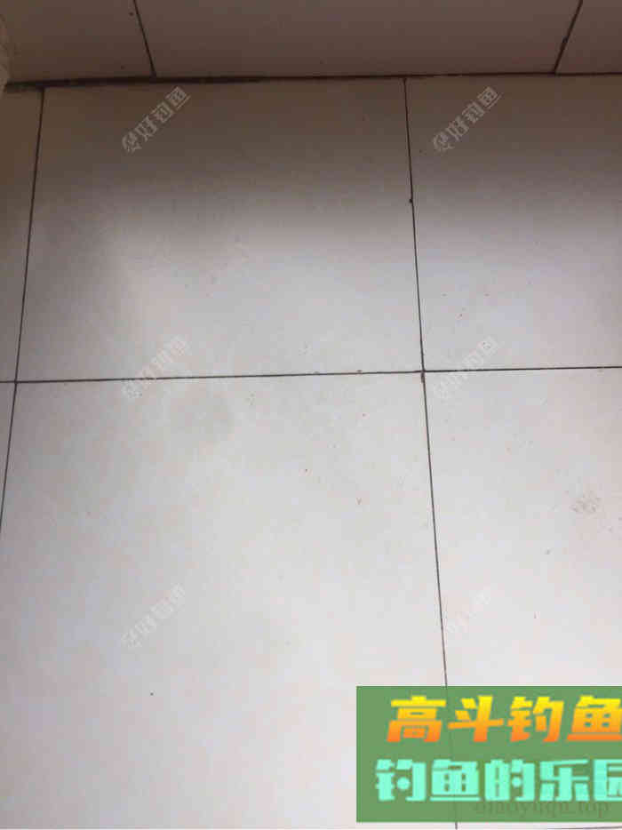 去年自制的打窝饵料，重新调配效果好