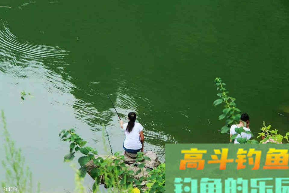 目前最难配的中药钓鱼药酒，但是效果超群