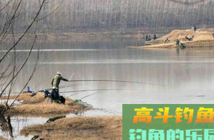 散炮怎么用？谈谈散炮窝料在运用中的切身体会