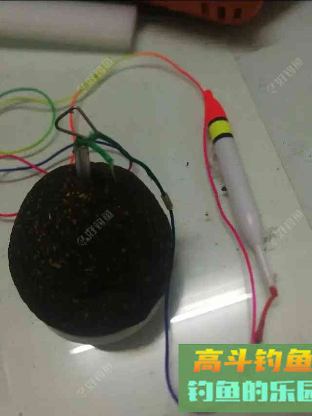 南国诱饵之王——糠坨