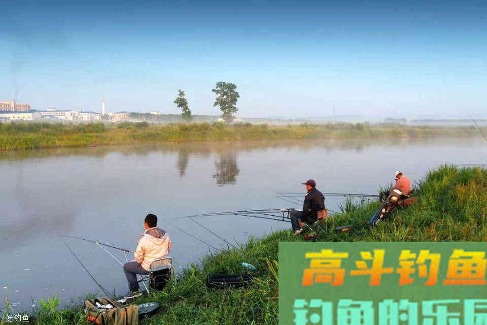 专业钓手用的鲫鲤窝料配方，四季通用留窝持久