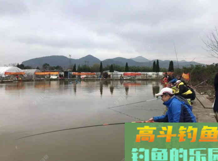 散炮怎么用？谈谈散炮窝料在运用中的切身体会