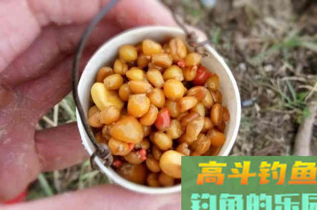 夏季钓鱼，可以尝试用这五种饵钓大鱼