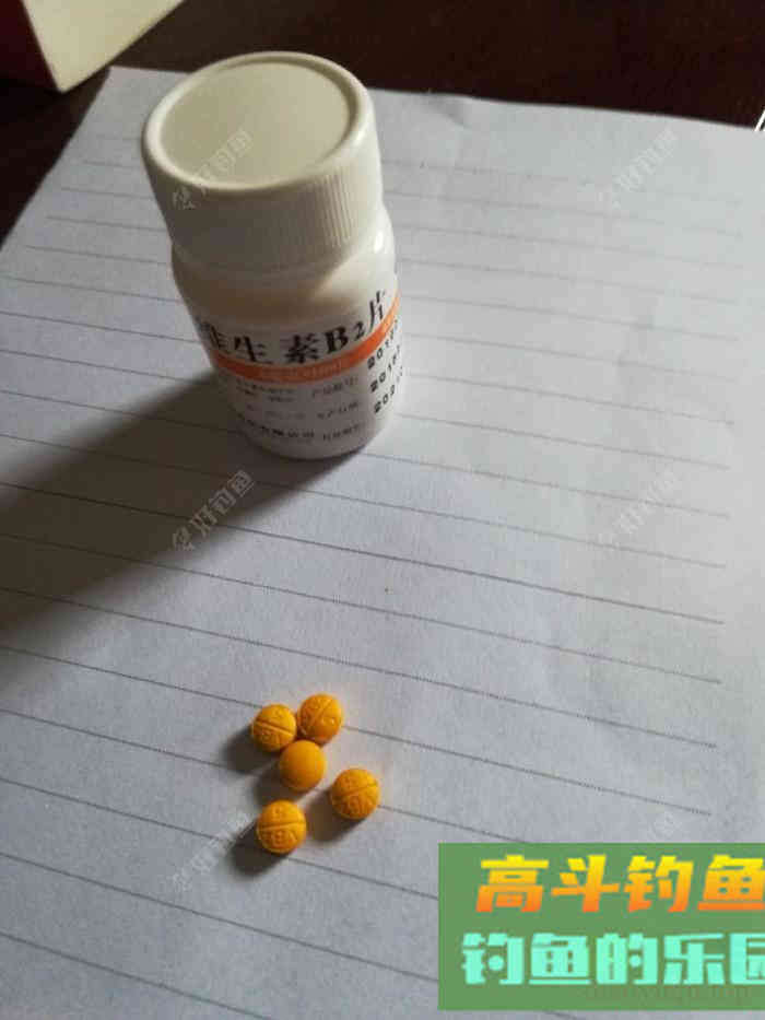 [制饵分享] 向老钓友请教制作的窝料,上大物就是这么简单