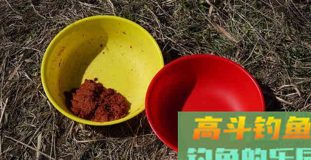 野钓鲫鱼，鲤鱼必杀饵料的搭配