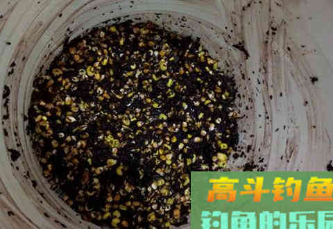 腰痛，闲来无事在家制作玉米钓饵及玉米窝料