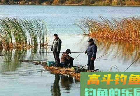 自制饵料，小小物料冬钓鲫鱼更有用