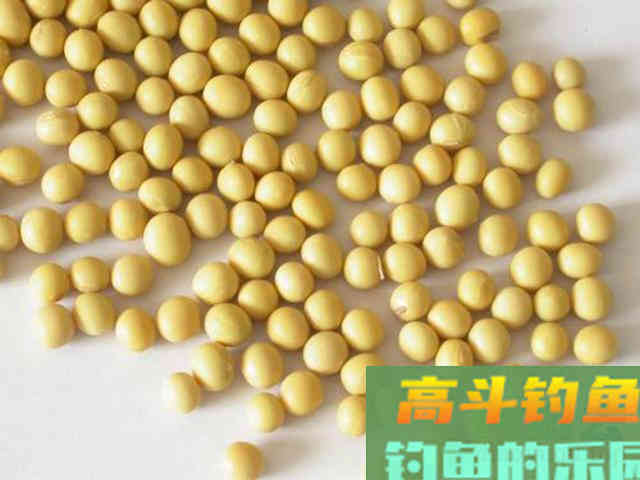 每年五月份都用这种饵料诱鲤鱼，鲤鱼上钩真的快