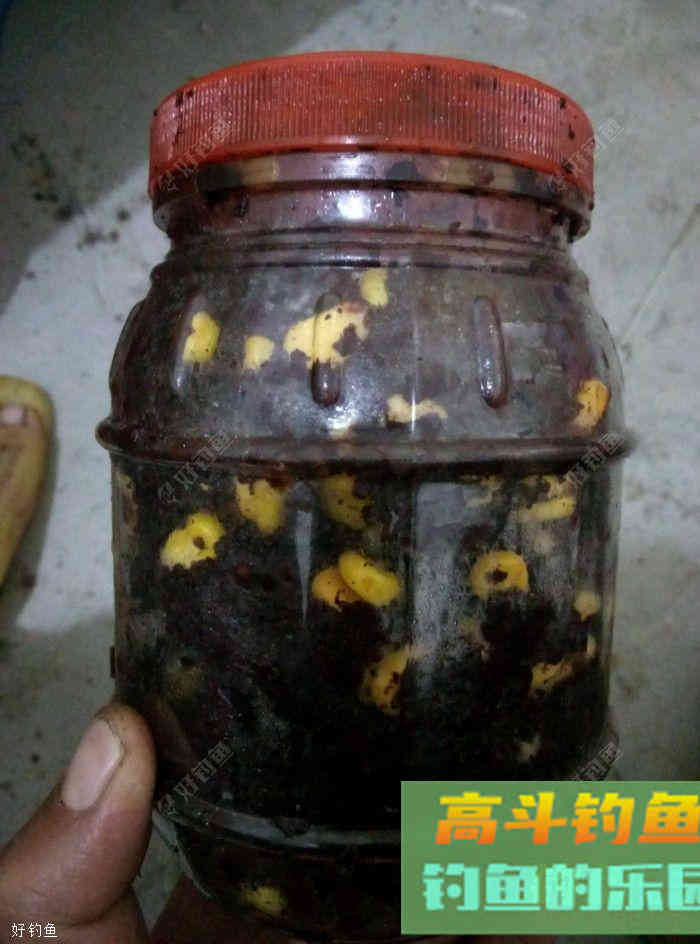 腰痛，闲来无事在家制作玉米钓饵及玉米窝料