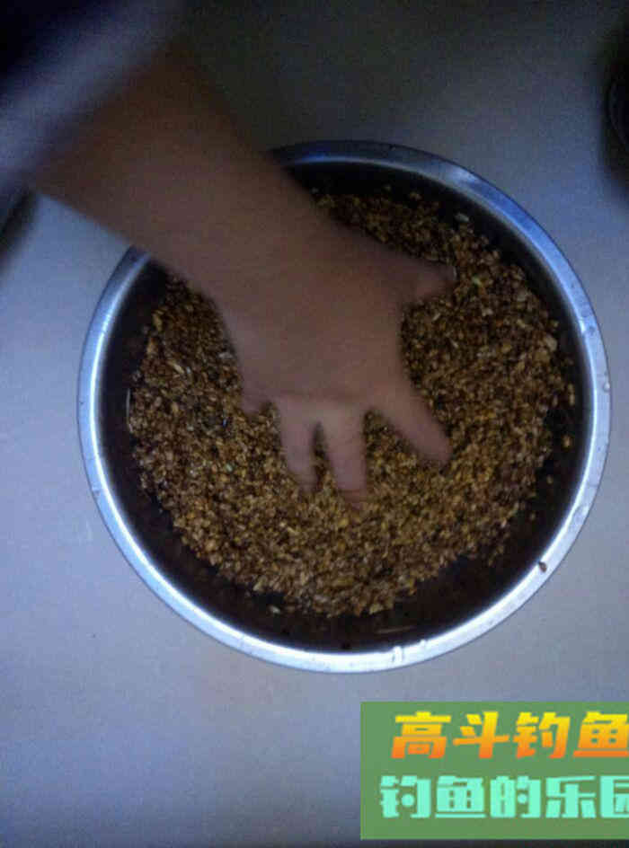 春天里:自制中药型小麦挂钩饵料