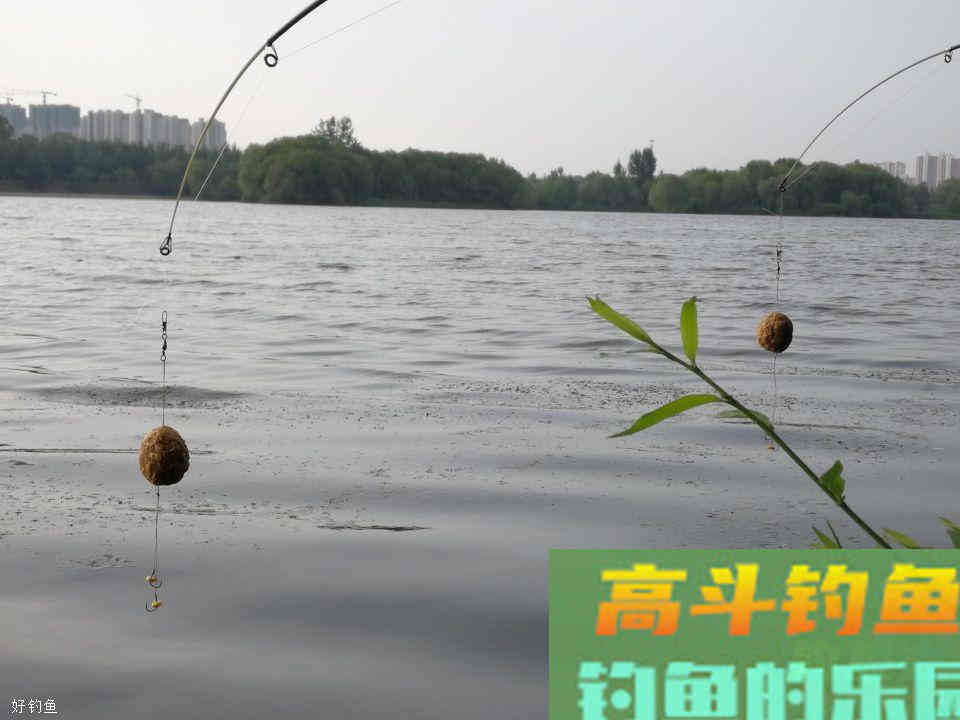 手竿、抛竿都适用的DIY饵料，自制配方制作方法详解