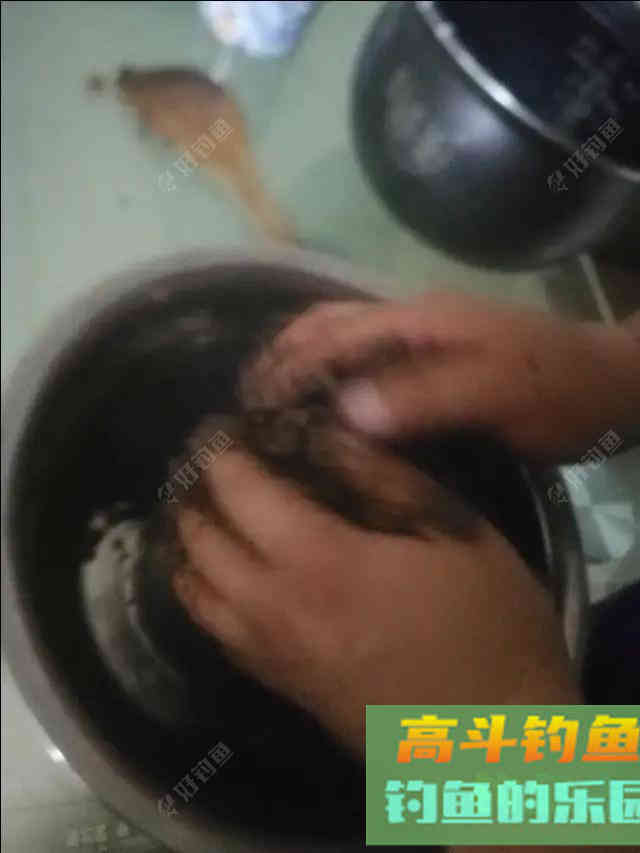 南国诱饵之王——糠坨